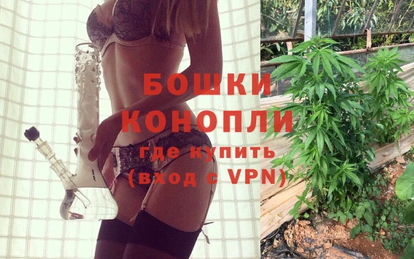 каннабис Аркадак