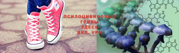а пвп мука Балахна