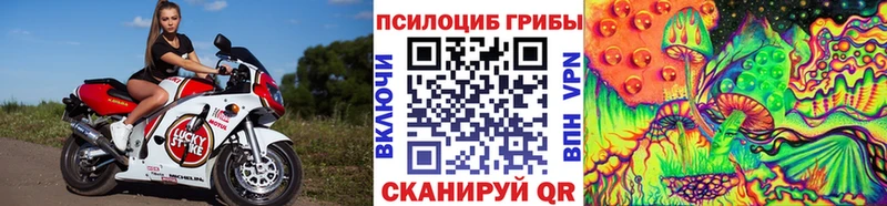 купить наркотики цена  Ленск  Псилоцибиновые грибы Psilocybe 
